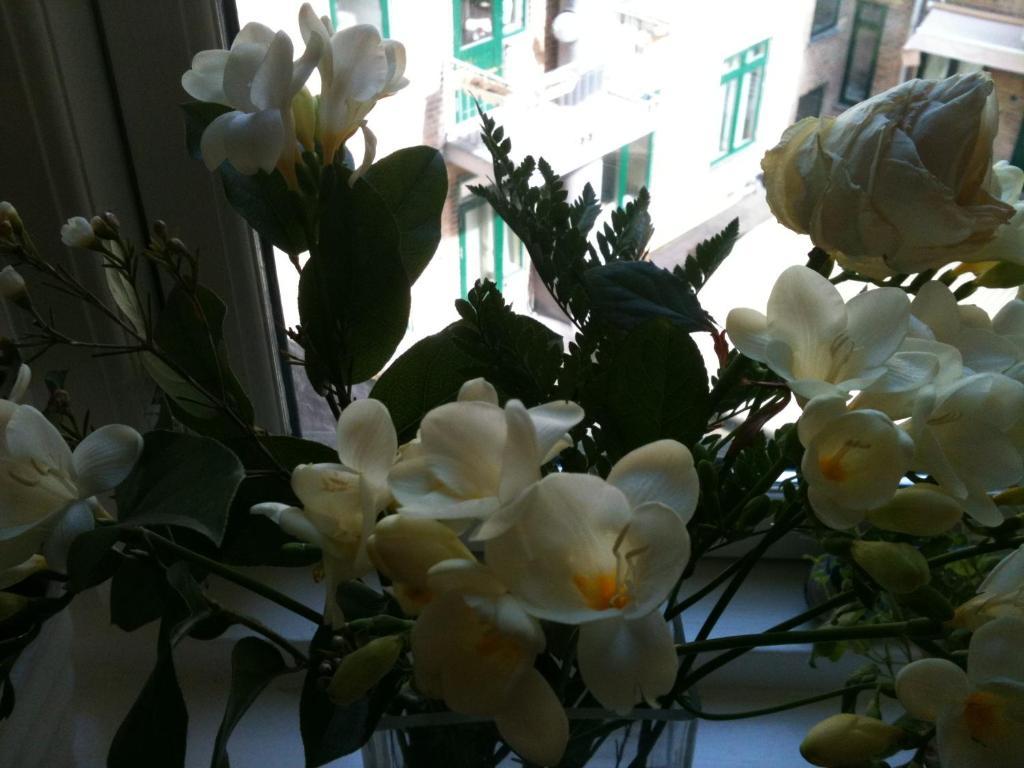 The Pea Blossom B&B Copenaghen Esterno foto