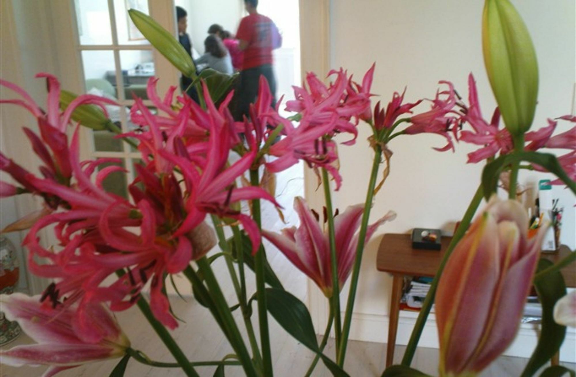 The Pea Blossom B&B Copenaghen Esterno foto
